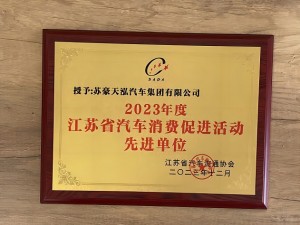 2023年度江蘇省汽車消費促進活動先進單位-蘇豪天泓集團